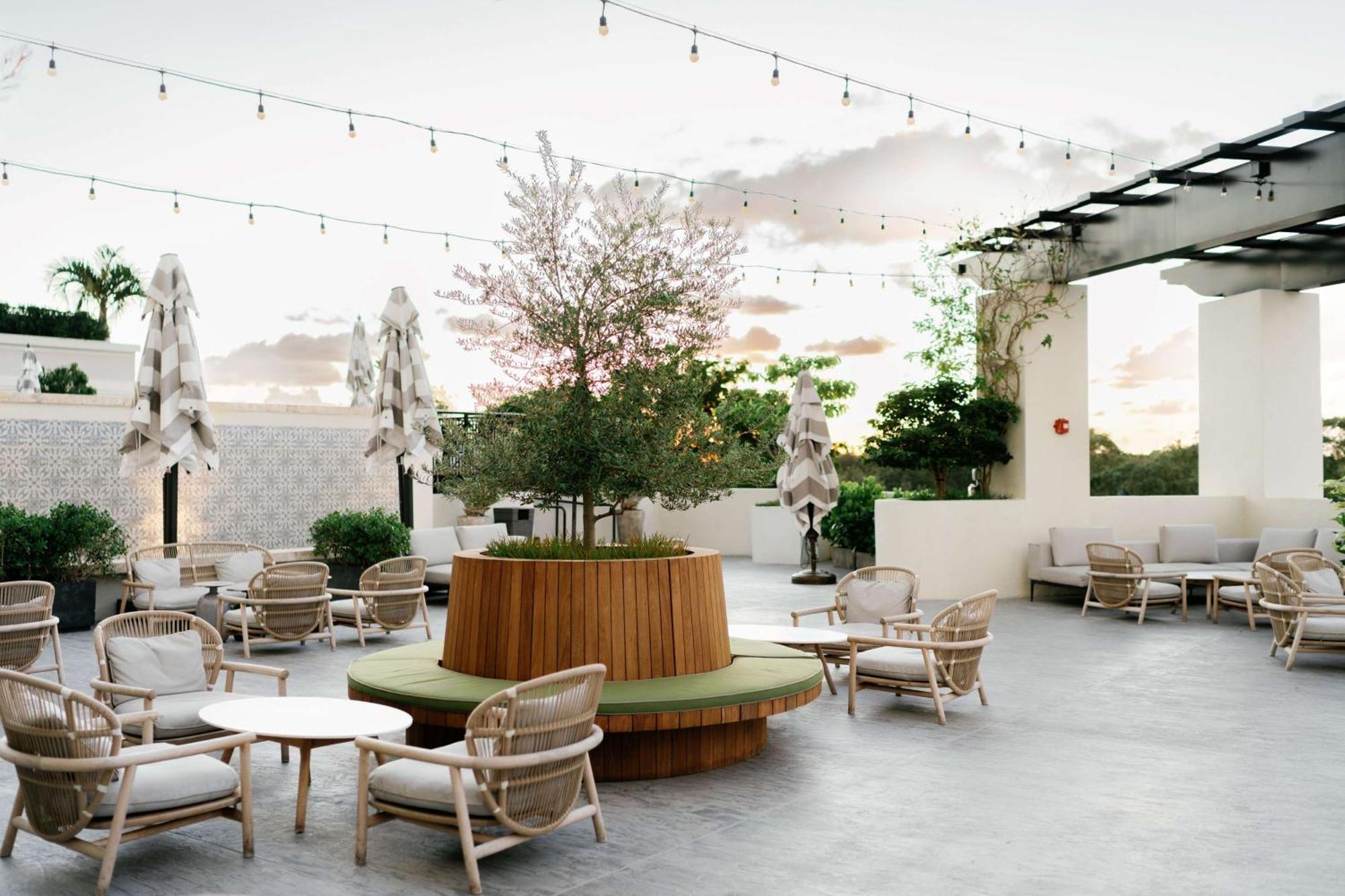 Thesis Hotel Miami Coral Gables, Curio Collection By Hilton Exteriör bild